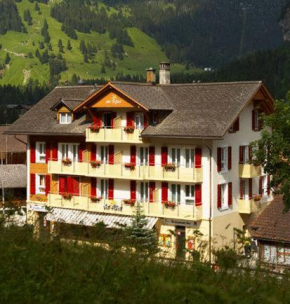 Гостиница Hotel Des Alpes  Кандерстег